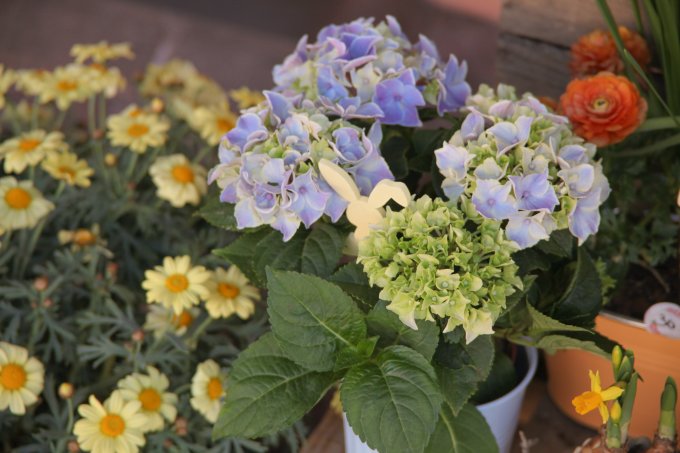 Pâques approche à grands pas ! photo 9